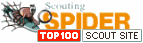 Scouting Spider Top 100 Scout Site